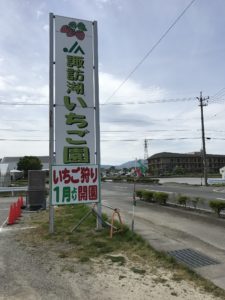 諏訪湖いちご園看板